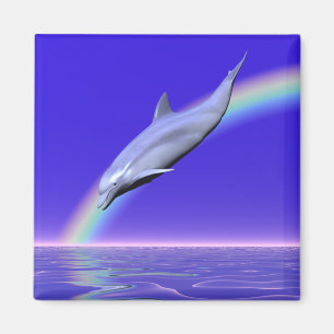Dolphin Download Magnet