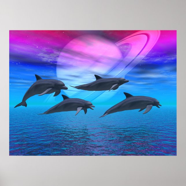 Dolphin Dreams Poster (Front)