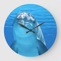Dolphin face up close