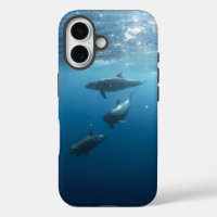 Dolphin Family Underwater