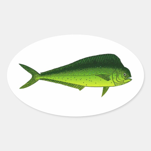 Dolphin Fish - Dorado - Mahi Mahi Oval Sticker (Front)