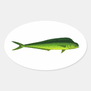 Dolphin Fish - Dorado - Mahi Mahi Oval Sticker