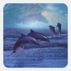 Dolphin fun and play square sticker
