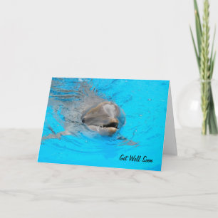 Dolphin Get Well Card