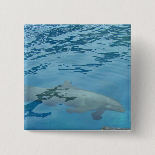 Dolphin Gliding Under Blue Water 15 Cm Square Badge