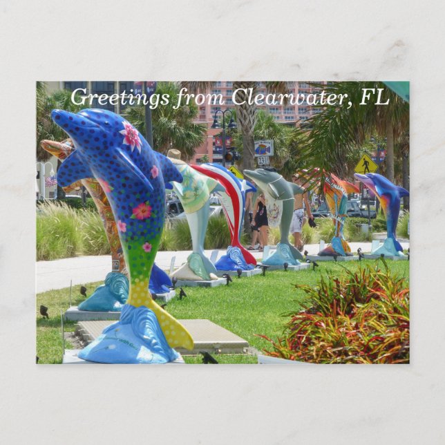 Dolphin greetings from Clearwater Florida postcard (Front)