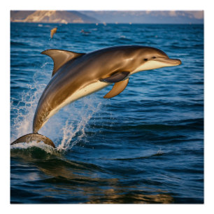 Dolphin Groove: Underwater Dance Party Poster