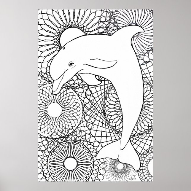 Dolphin Harmony Poster (Front)