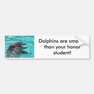 Dolphin head in aquamarine water bumper sticker