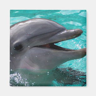 Dolphin head in aquamarine water magnet