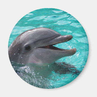 Dolphin head in aquamarine water magnet