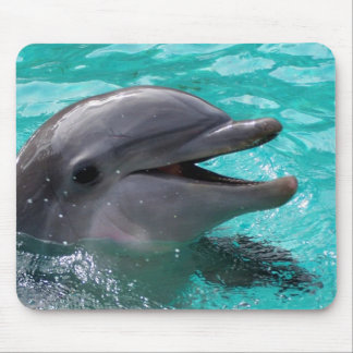Dolphin head in aquamarine water mouse pad