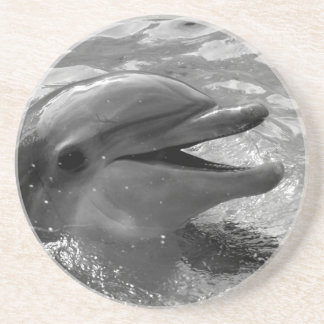 Dolphin head in water mouth open Black and White Coaster