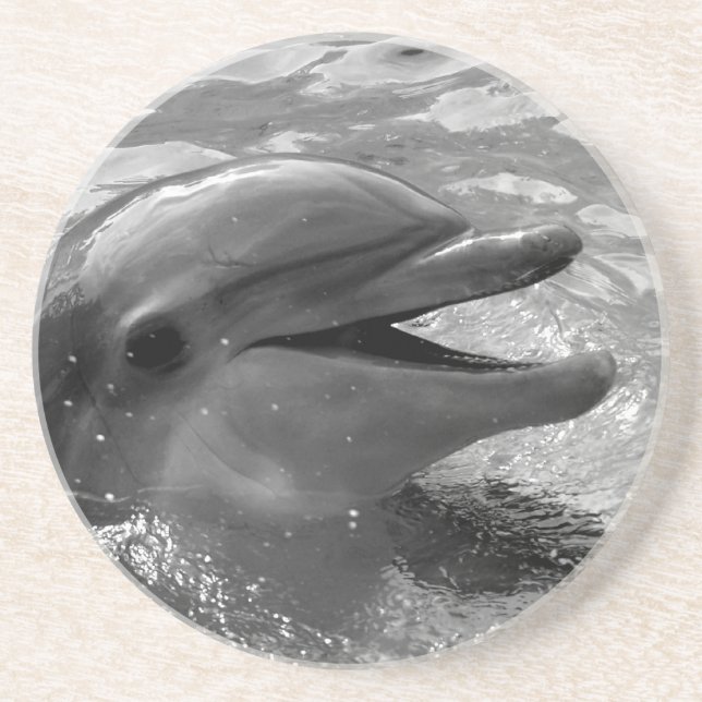Dolphin head in water mouth open Black and White Coaster (Front)