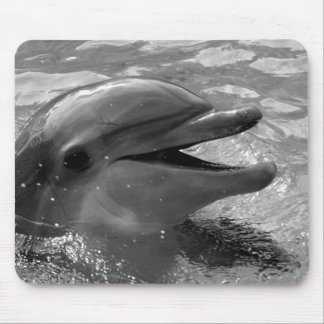 Dolphin head in water mouth open Black and White Mouse Pad