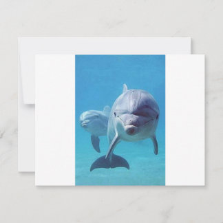dolphin II