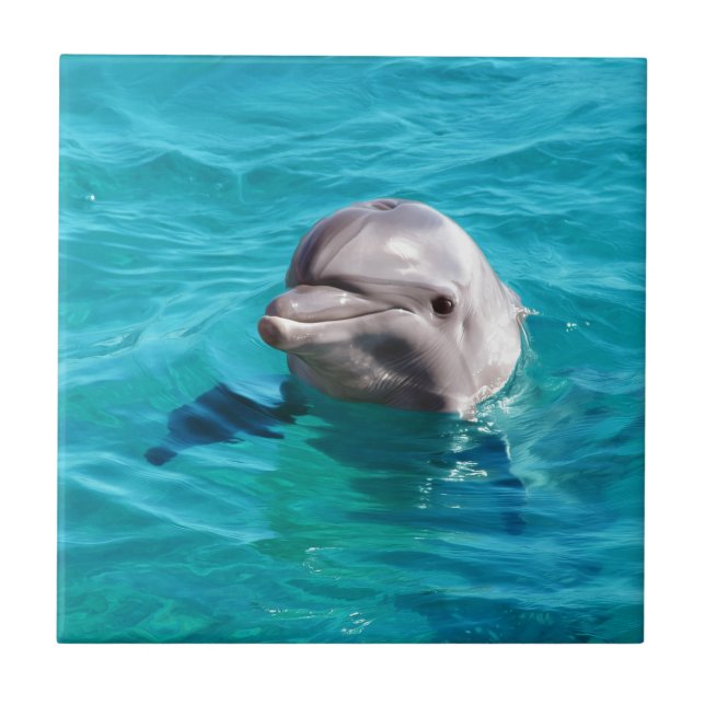 Dolphin in Blue Water Photo Tile (Front)