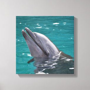Dolphin In Green Canvas Print