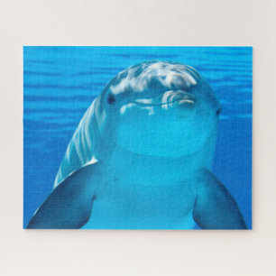 Dolphin Jigsaw Puzzle