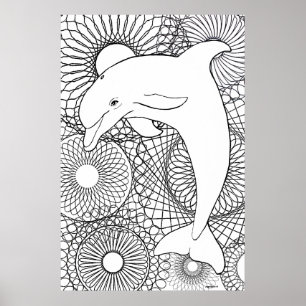 Dolphin Joy Poster