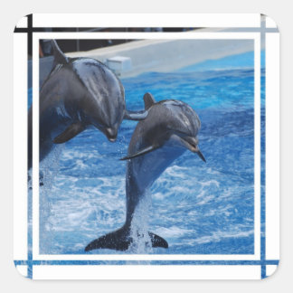 Dolphin Jumping Stickers