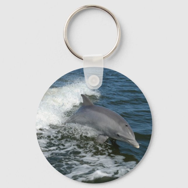 Dolphin Key Ring (Front)