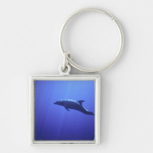 Dolphin Key Ring