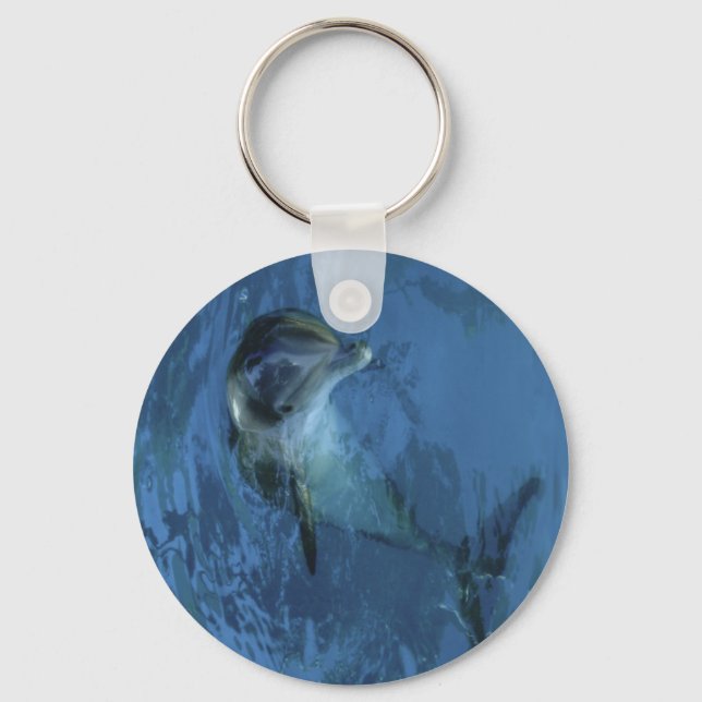 Dolphin Keychain (Front)