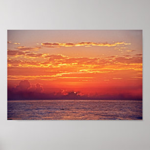 Dolphin Leaping at Sunrise Poster