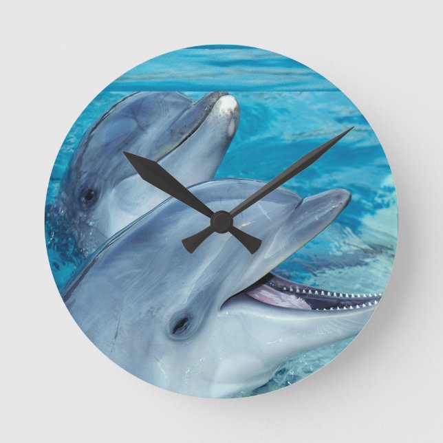 Dolphin Love Round Clock (Front)