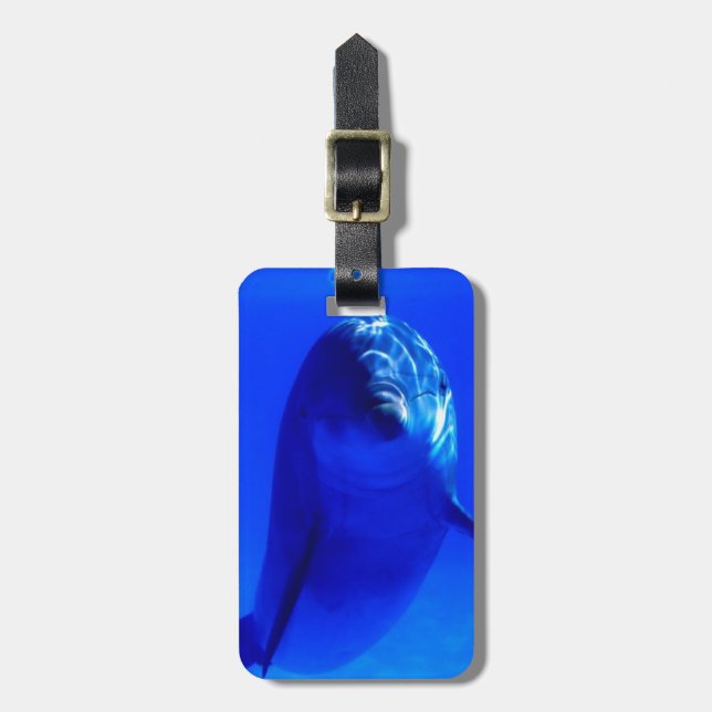 Dolphin Luggage Tag. Tag (Front Vertical)