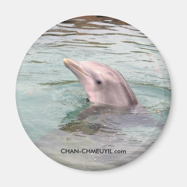 Dolphin Magnet (Front)