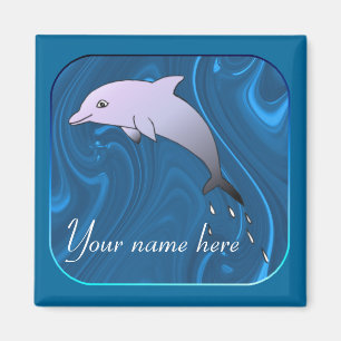 Dolphin Magnet