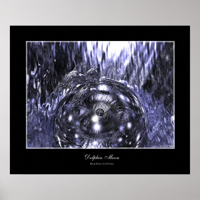 Dolphin Moon Poster (Front)