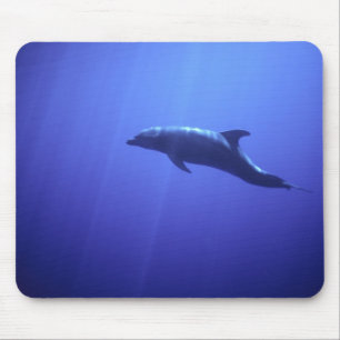 Dolphin Mouse Pad