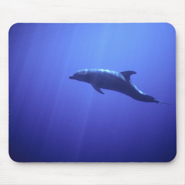 Dolphin Mouse Pad (Front)