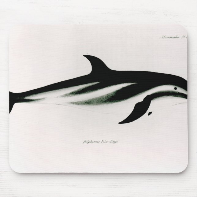 Dolphin Mouse Pad (Front)