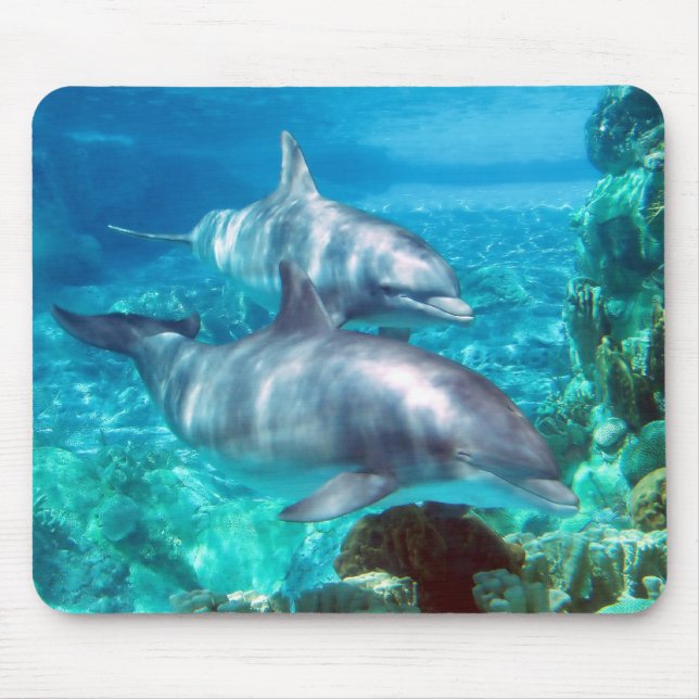 Dolphin Mousepad (Front)