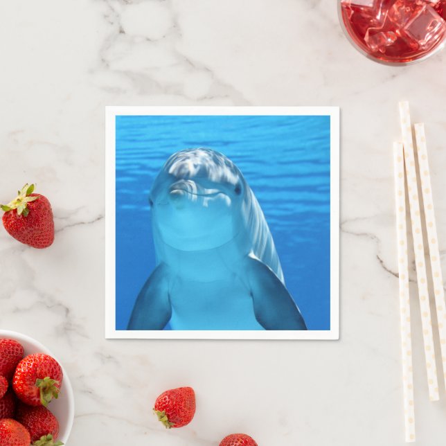 Dolphin Napkin (Insitu)