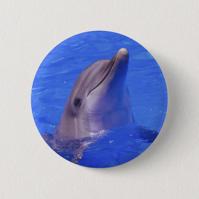 Dolphin Nose 6 Cm Round Badge (Front)