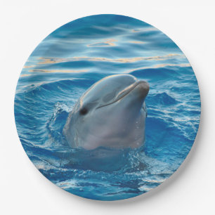 Dolphin Paper Plate