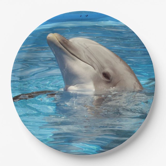 Dolphin Party Plates (Front)
