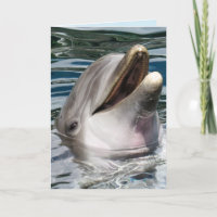 DOLPHIN PHOTOGRAPHY SMILE BIRTHDAY CARD