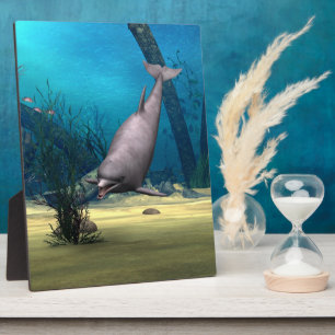 Dolphin Plaque