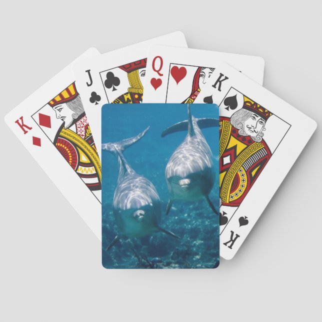 Dolphin Playing Cards (Back)