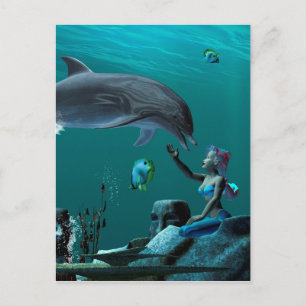 Dolphin playing postcard