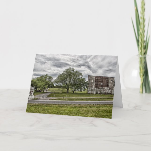 Dolphin playing with water card (Front)