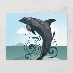 Dolphin Postcard