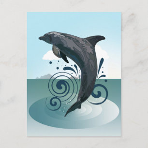 Dolphin Postcard