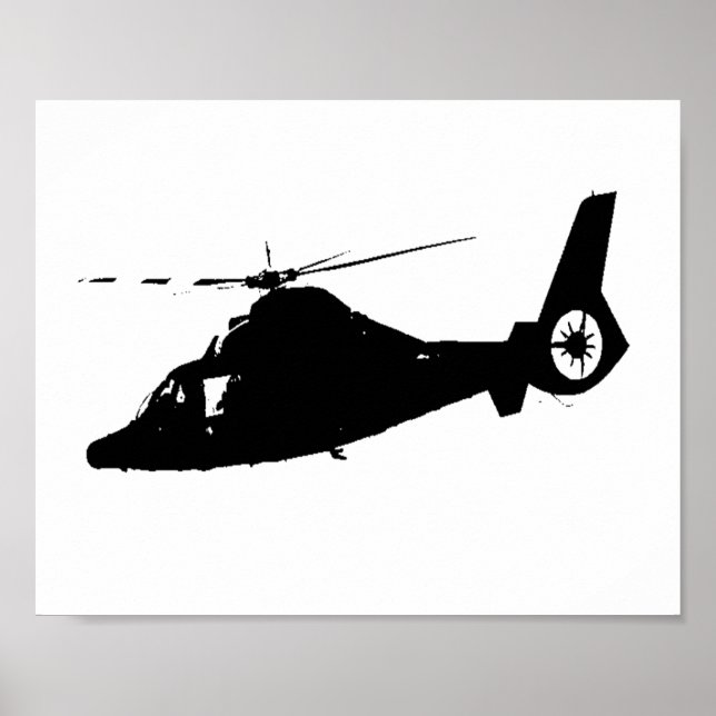 Dolphin Poster (Front)